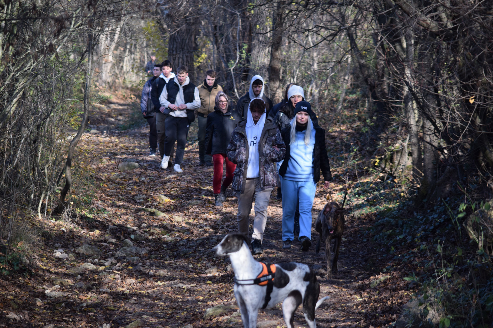 2022-12-01 Teljesítmény túra_044